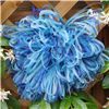 Order  3mm Sheer Streamer - Blue