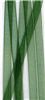 Order  3mm Sheer Ribbon - Foirest Green