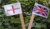 ribbon flags and buttons