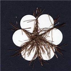 Eyelash Copper