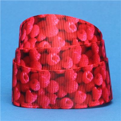 Sweet Treat Ribbon - Raspberries