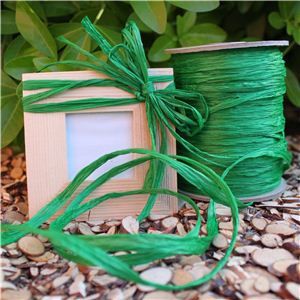 Raffia Ribbon - Emerald