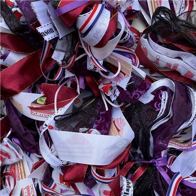 Ribbon Bundle - Purple